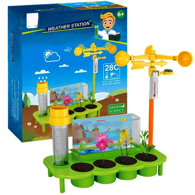 Weather Station Lab Toy For Kids, With Ecological Science Experiment, Educational Game (Accessories are random in color)