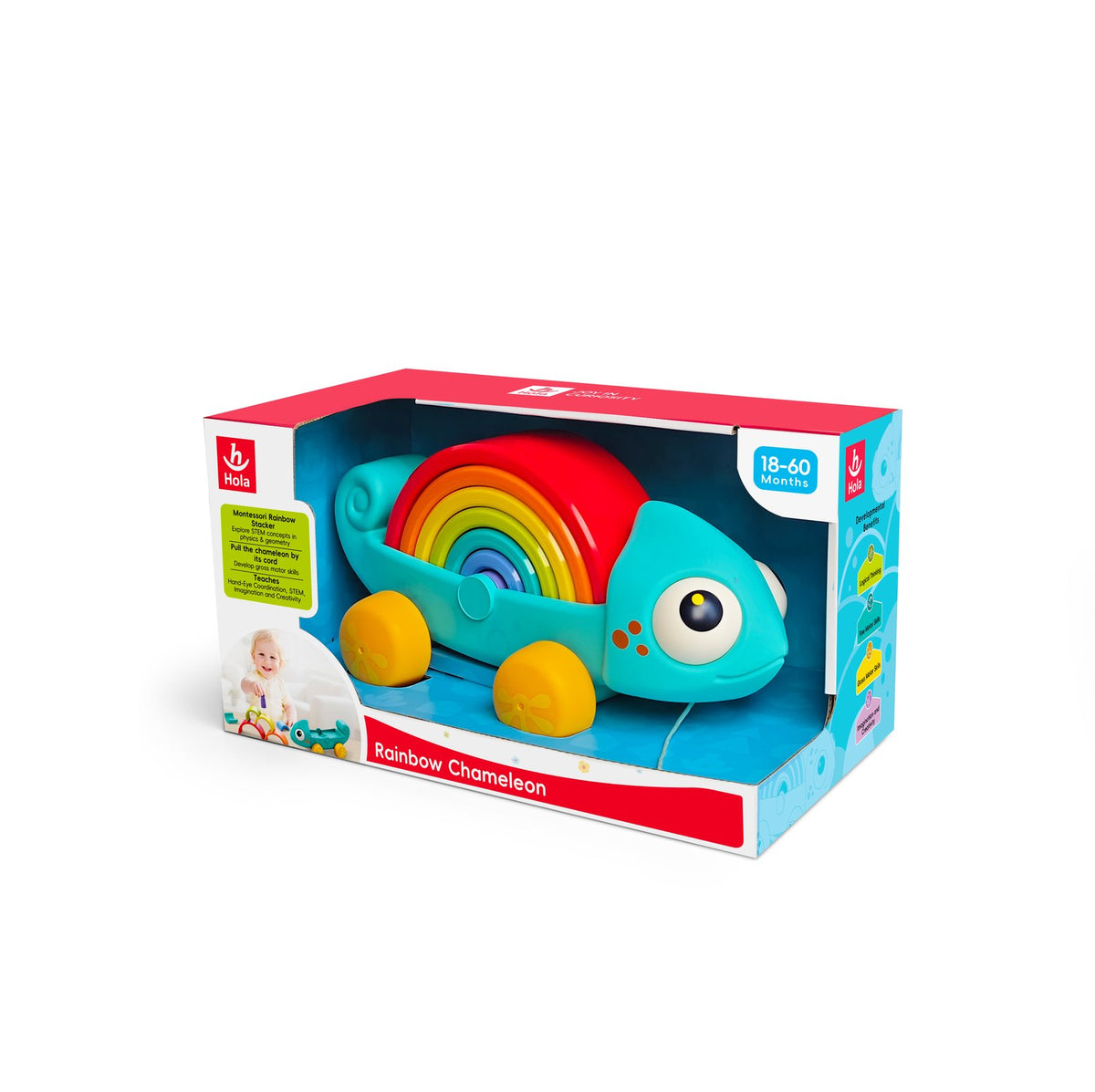 Hola Rainbow Chameleon