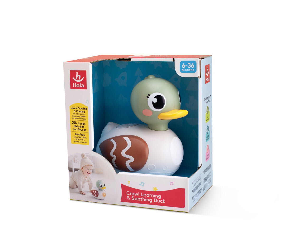 Hola Crawl Learning & Soothing Duck