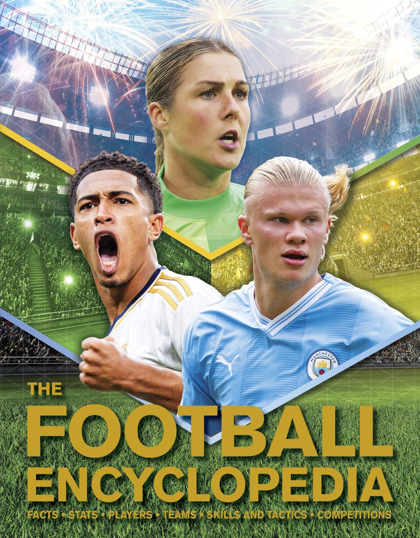 Book: The Football Encyclopedia