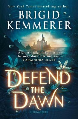 Book : Defend the Night