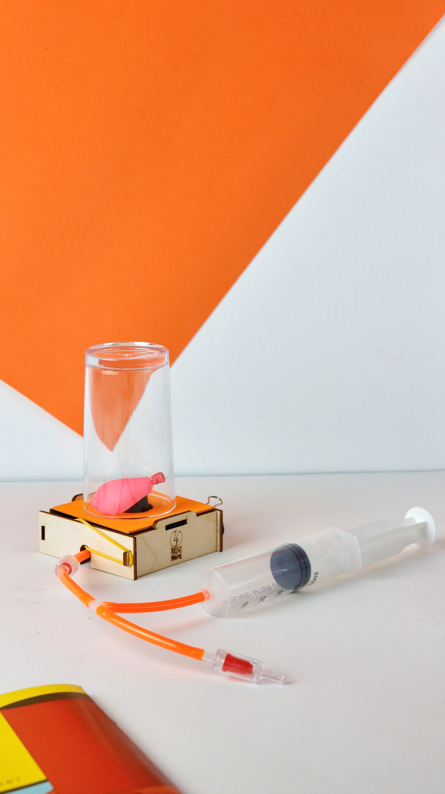 Barq Boxes- Vacuum Chamber