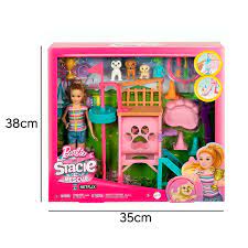 Barbie & Stacie Puppy Obstacle Course Playset with Doll, 3 Puppies & Accessories – Ages 3+