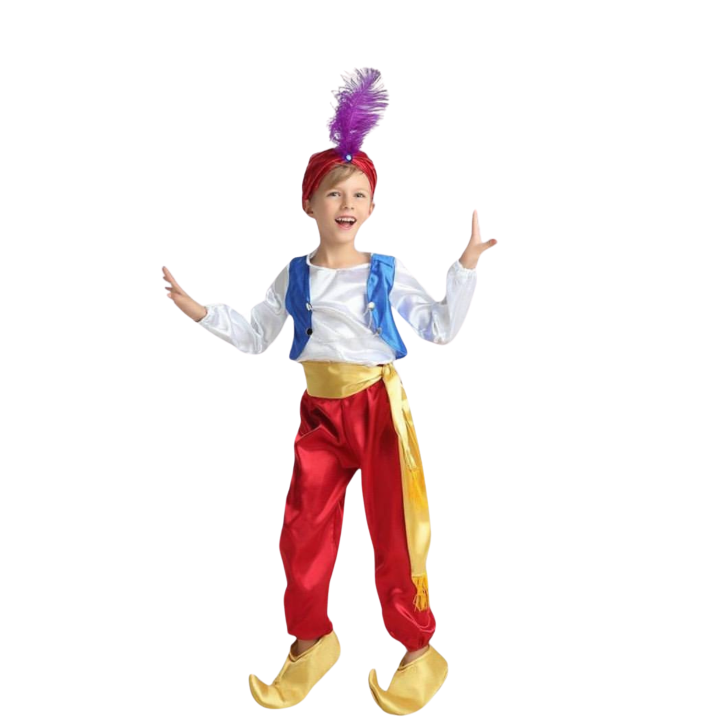 Aladdin Costume