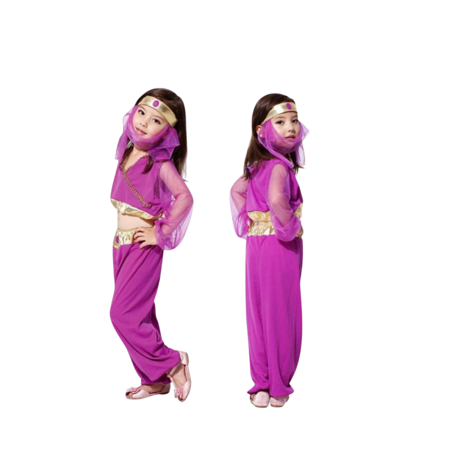 Belly Dancer Costume