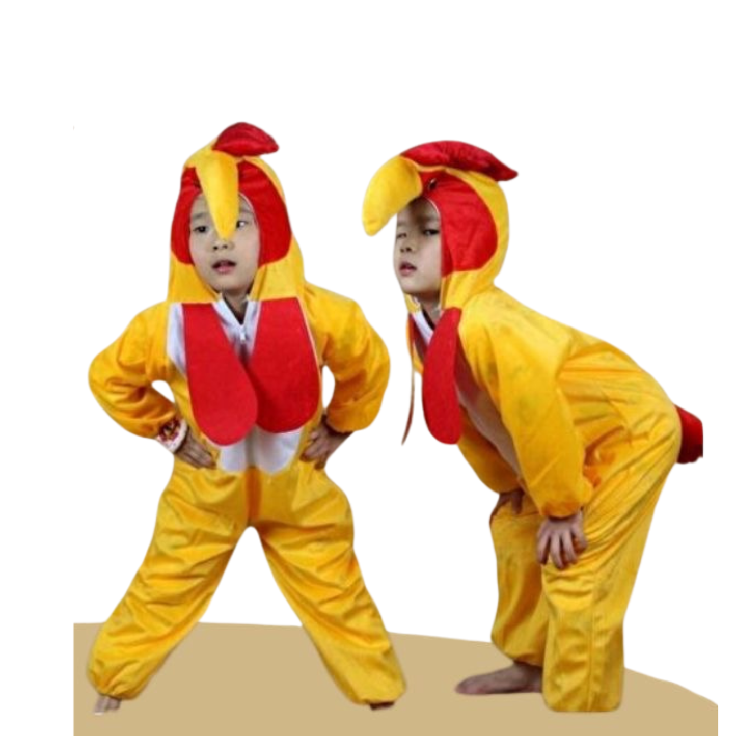 Chicken Costume