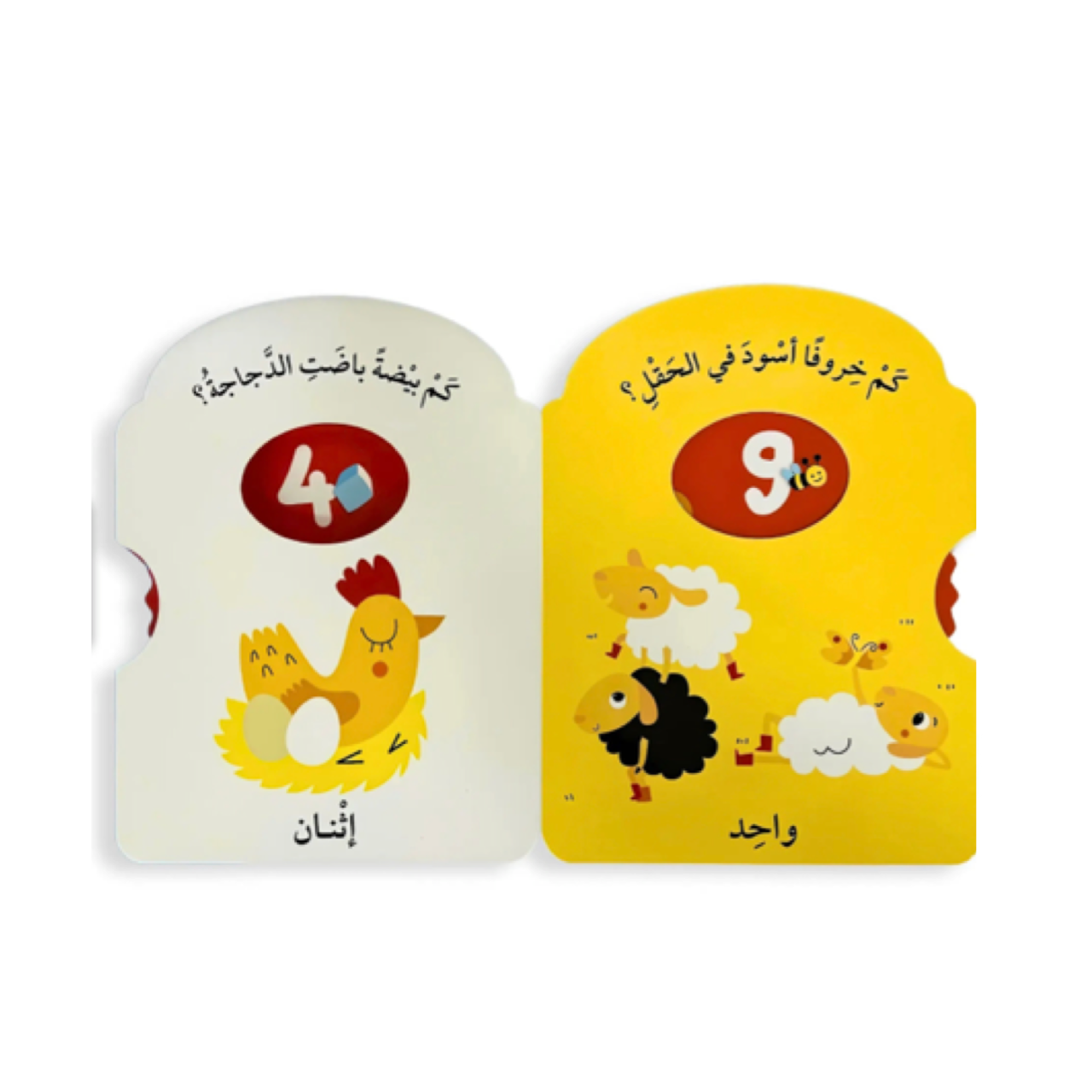 أدر العجلة وتعلّم – الأرقام