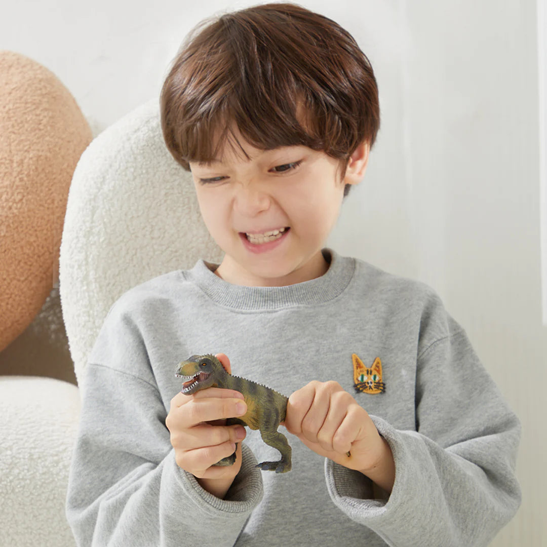 Mideer - Dinosaur Toys Set - 24pcs - Age 3+ | ميدير - مجموعة ألعاب الديناصورات - 24 قطعة - العمر 3+