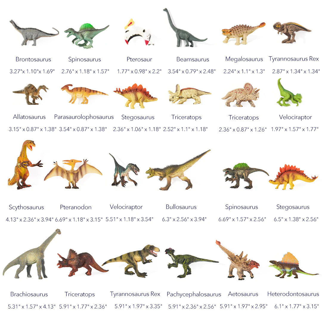 Mideer - Dinosaur Toys Set - 24pcs - Age 3+ | ميدير - مجموعة ألعاب الديناصورات - 24 قطعة - العمر 3+