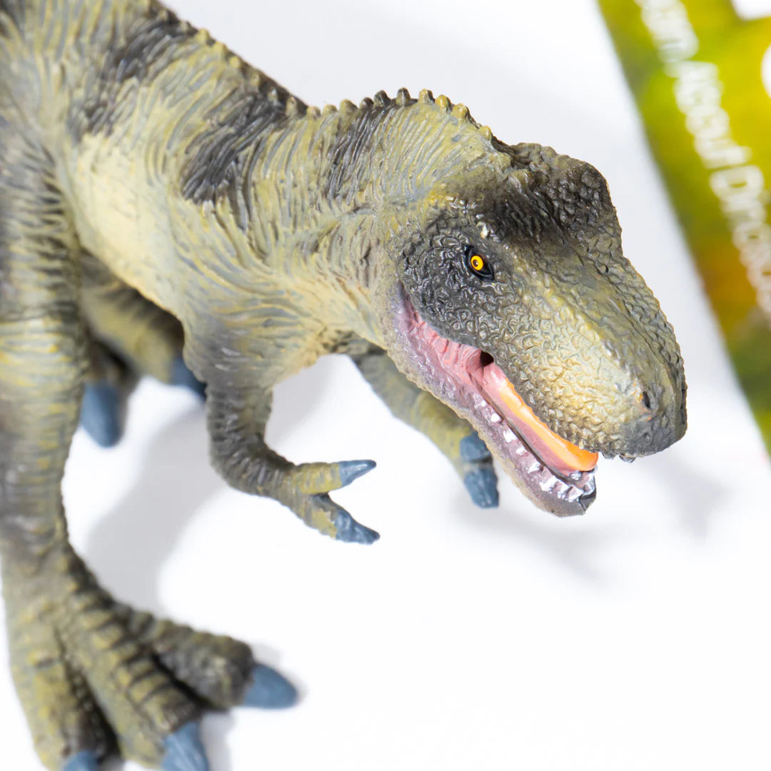 Mideer - Dinosaur Toys Set - 24pcs - Age 3+ | ميدير - مجموعة ألعاب الديناصورات - 24 قطعة - العمر 3+