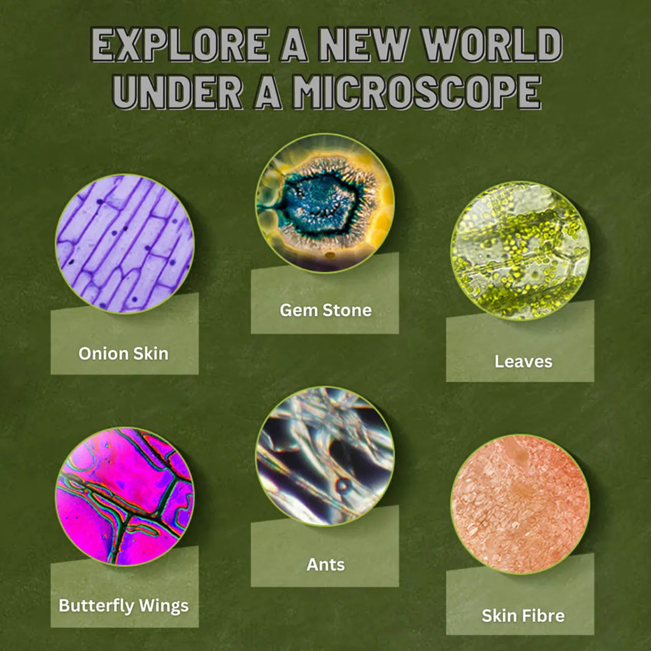 Mideer - Exploring With Microscope - Age 8+ | ميدير - الاكتشاف بواسطة المايكروسكوب - العمر 8+