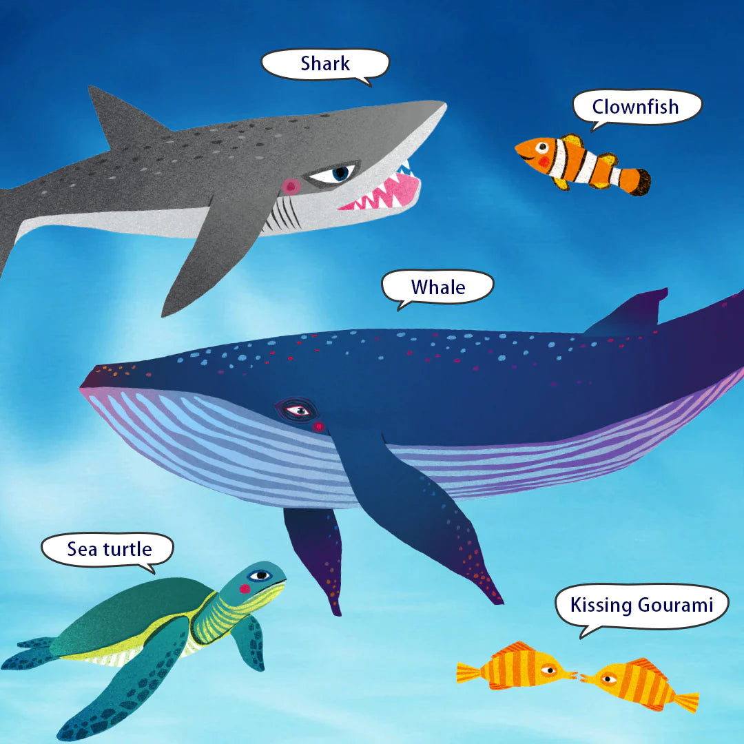 Mideer - Wonderful Ocean Puzzle - age +3 | ميدير - لعبة التركيب - المحيط الرائع - العمر +3