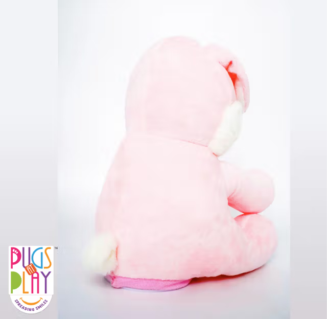PUGS AT PLAY - PEEK A BOO BUGS 10IN لعبة الارنب المحشو
