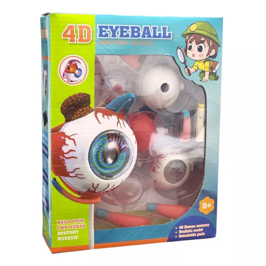 Diy Human Eyeball Organ Anatomical Structure Model 4D Human Eye Teaching Material School Science Kit for Children