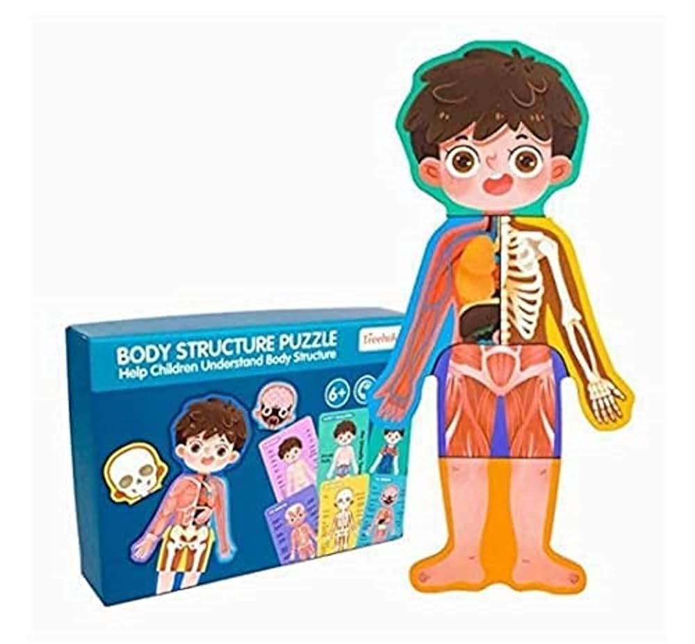 Human Body Model For Kids Juniors Magnetic Puzzles Human Anatomy Puzzle Montessori