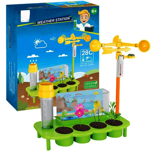 Weather Station Lab Toy For Kids, With Ecological Science Experiment, Educational Game (Accessories are random in color)