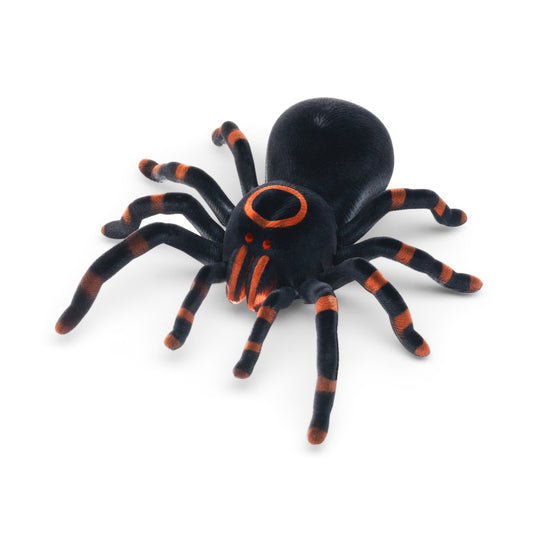 The Source - RC Tarantula - Age 8+ | ذا سورس - عنكبوت التحكم عن بُعد تارانتولا - العمر 8+