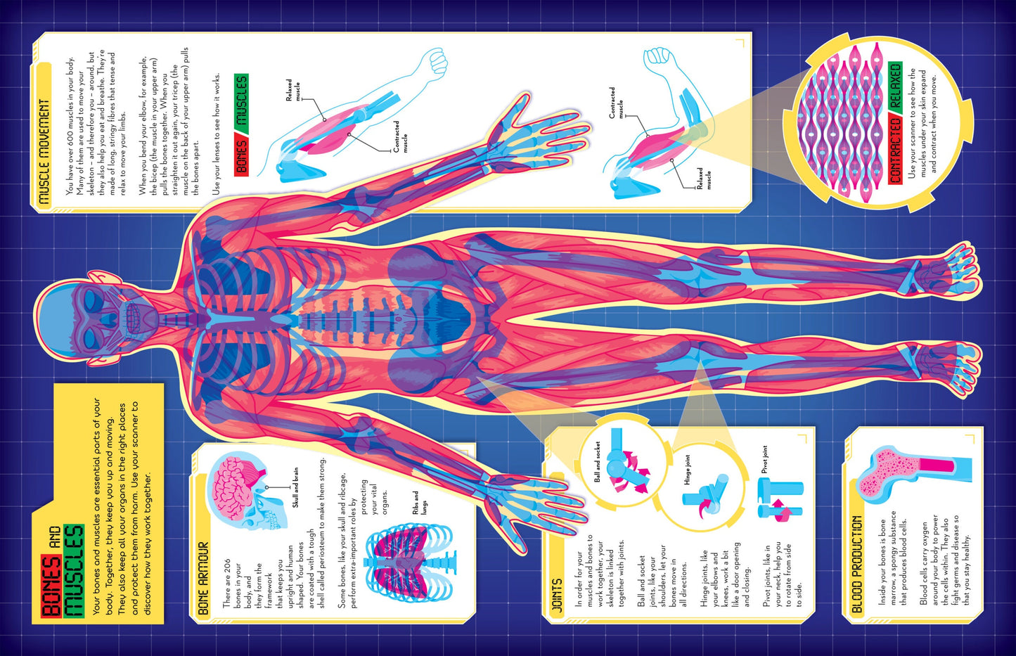 Secrets of the Human Body