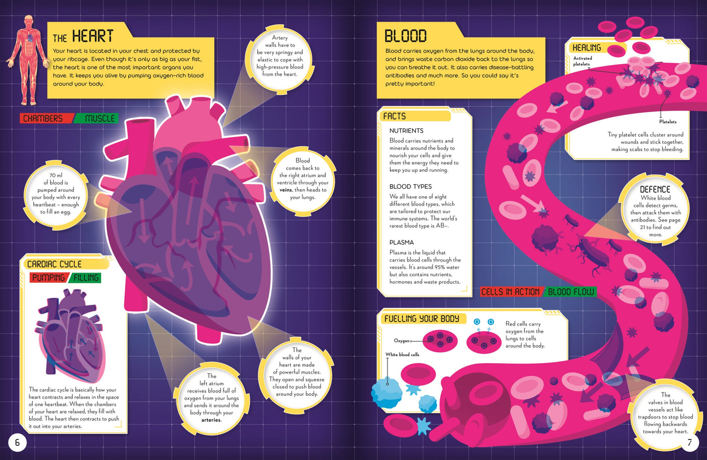 Secrets of the Human Body