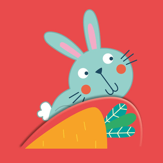Book: Soft Peekaboo: Bedtime Book Rabit