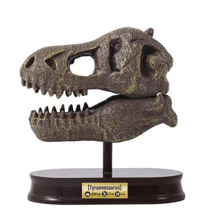 Buki France 2130 Dinosaur Skull Tyrannosaurus