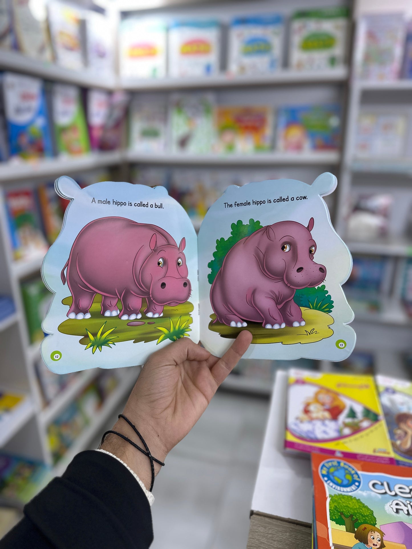 All about me- hippo