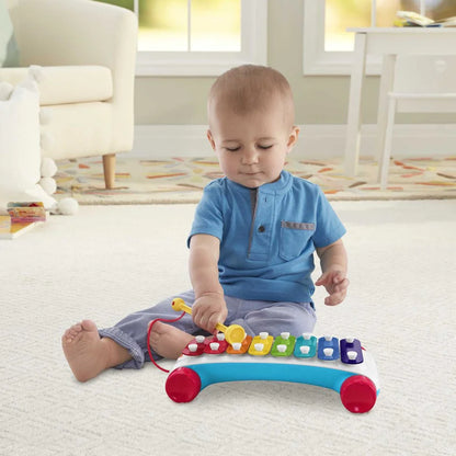 Xylophone
