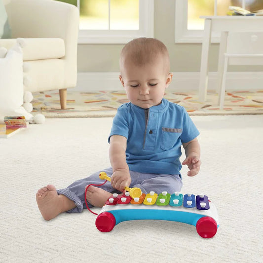 Xylophone
