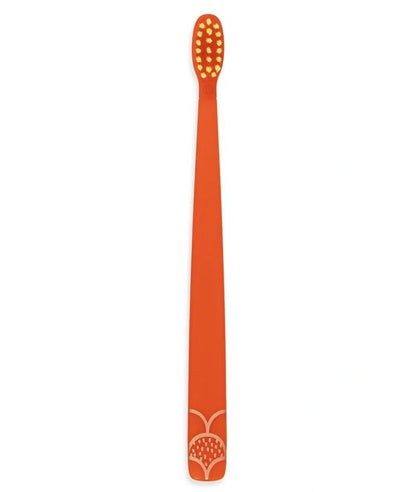 Toothbrush Cover & Toothbrush Flp Fun Animal Combo Pack / Elephant  طقم فرشاة أسنان للأطفال مع غطاء بشكل فيل لطيف ومرحي