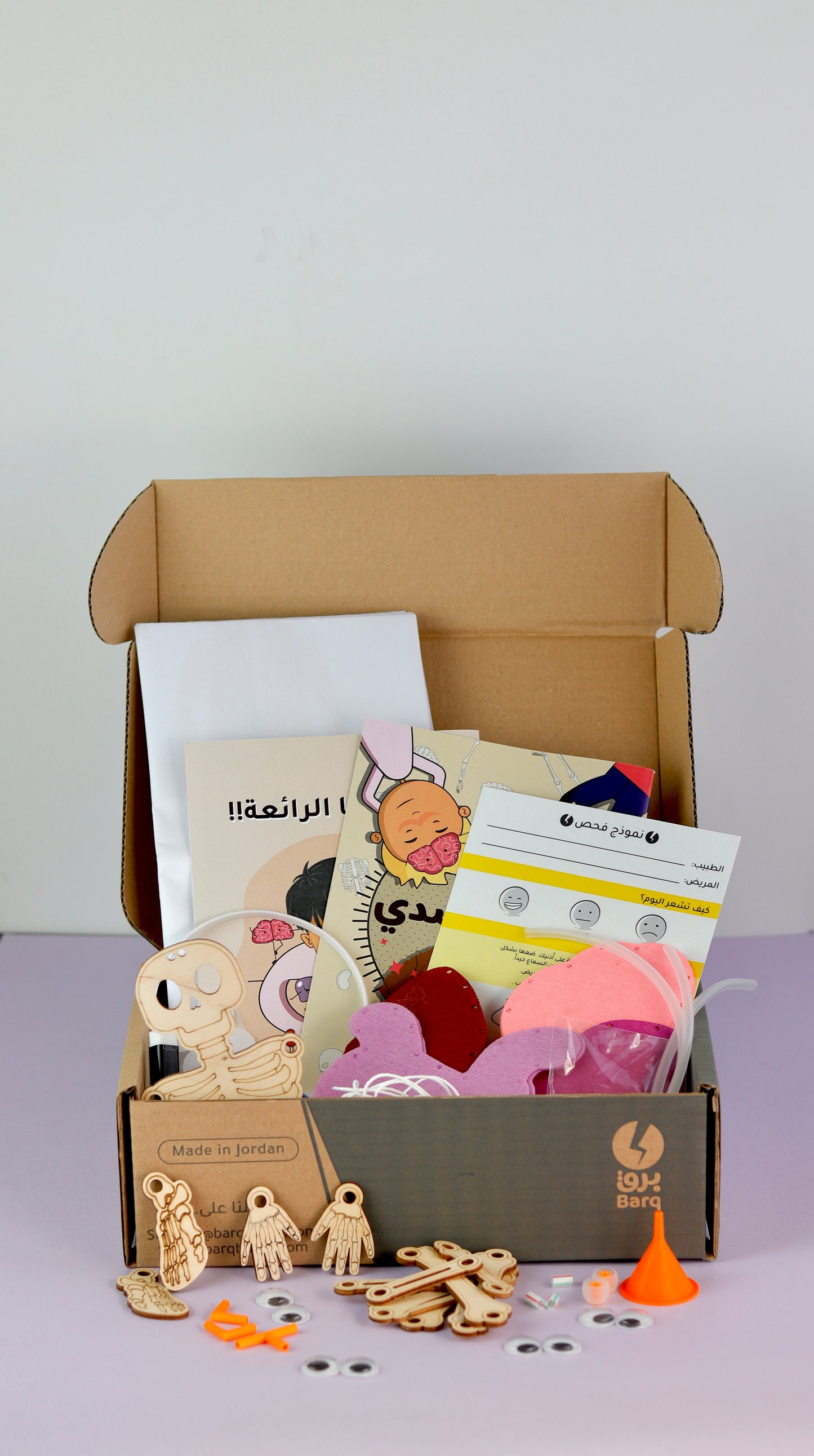 Barq Boxes  - Amazing Anatomy