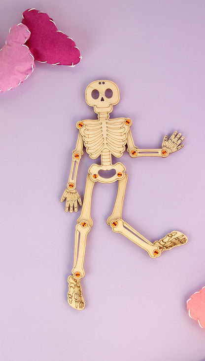 Barq Boxes  - Amazing Anatomy