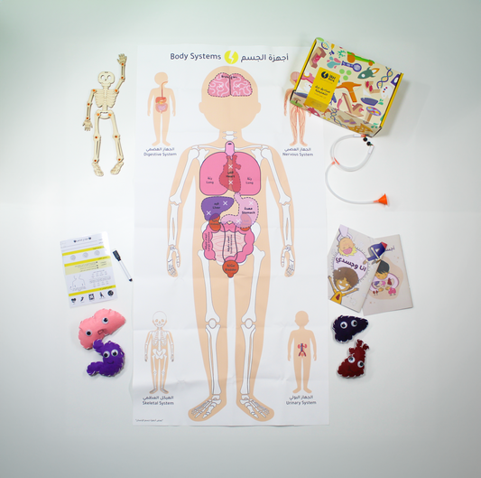 Barq Boxes  - Amazing Anatomy