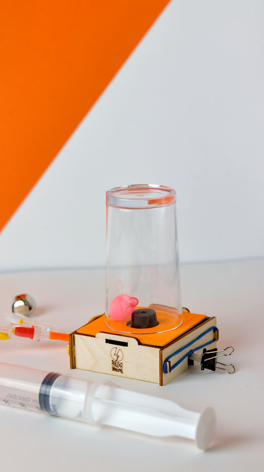 Barq Boxes- Vacuum Chamber