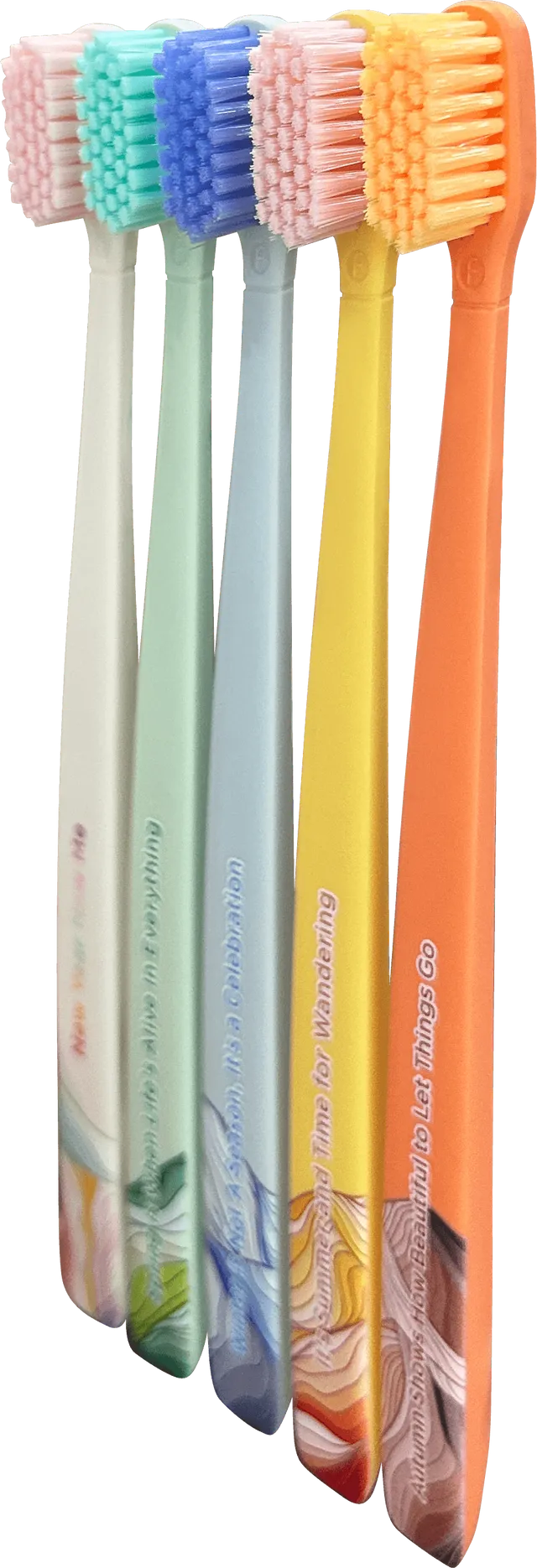 Toothbrush Flp Twigo 365 / 4 Seasons - 5pcs طقم فرشاة أسنان Flipper Twigo 365 – 4 فصول (5 قطع)
