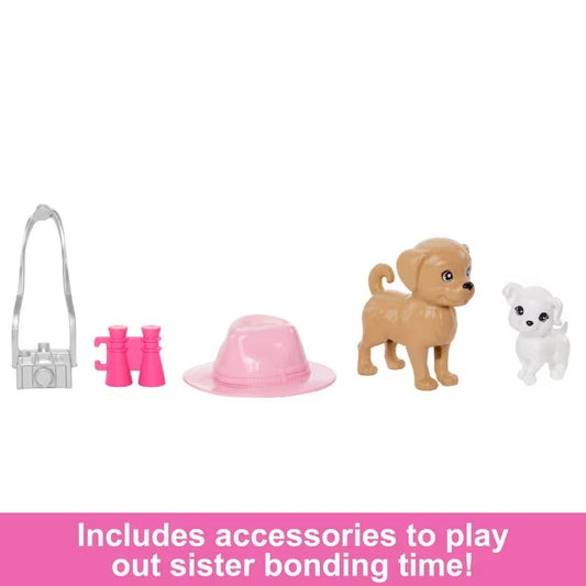 Barbie® Stacie -2Pack