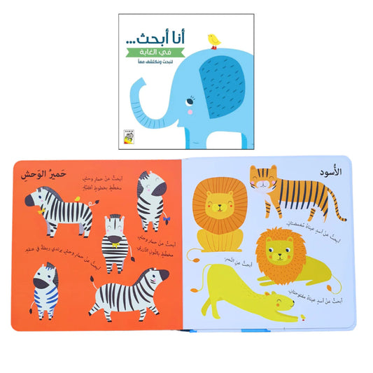 أنا أبحث في الغابة