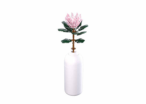 PLEYERID-Protea Cynaroides 219PCS