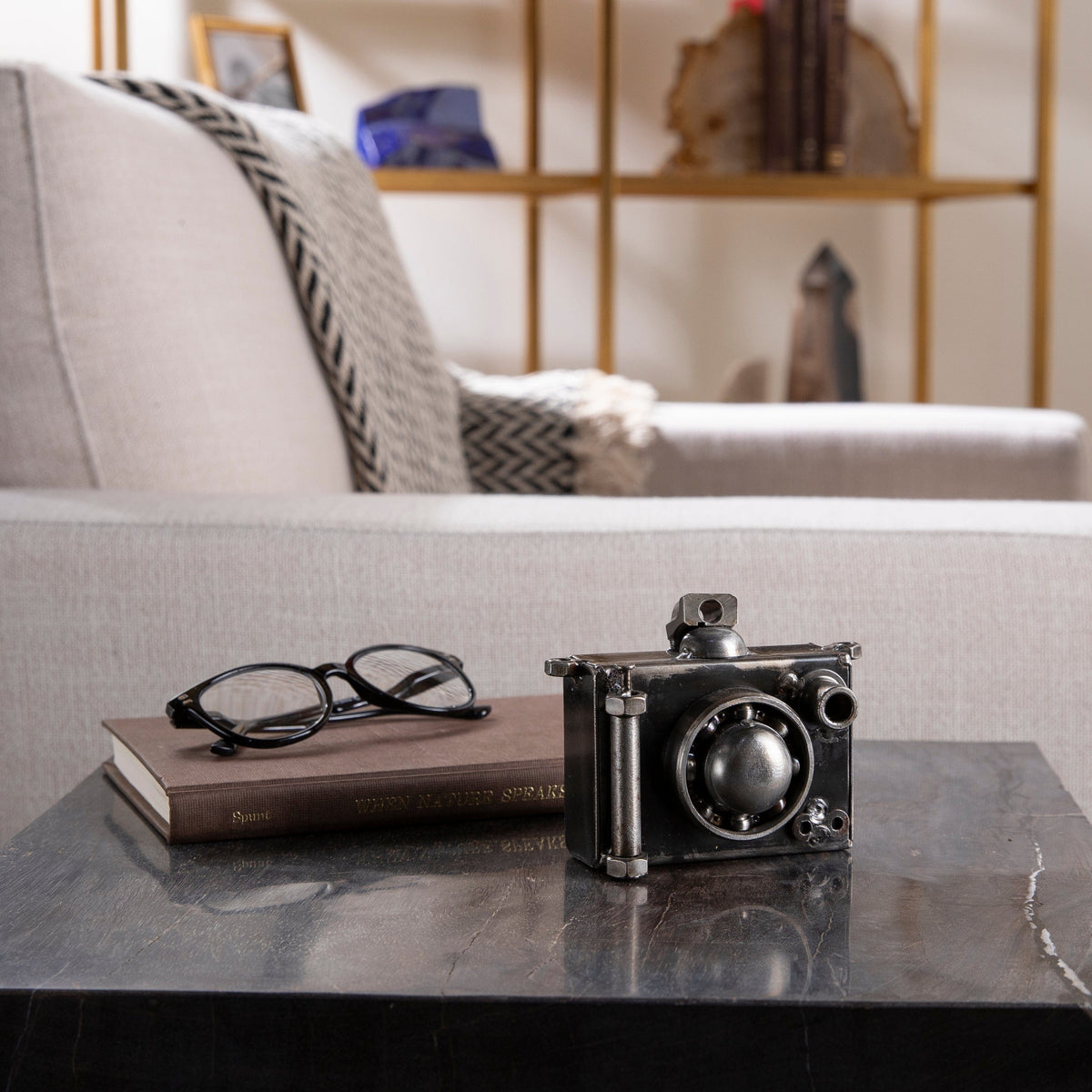 Metal Art - Camera Inspired Recycled Metal Sculpture