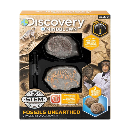 Discovery Toy Excavation Kit Mini Fossil 2 Pc
