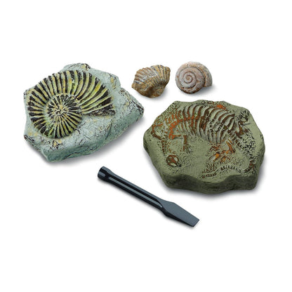 Discovery Toy Excavation Kit Mini Fossil 2 Pc