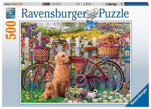 Cute dogs in the garden   500p